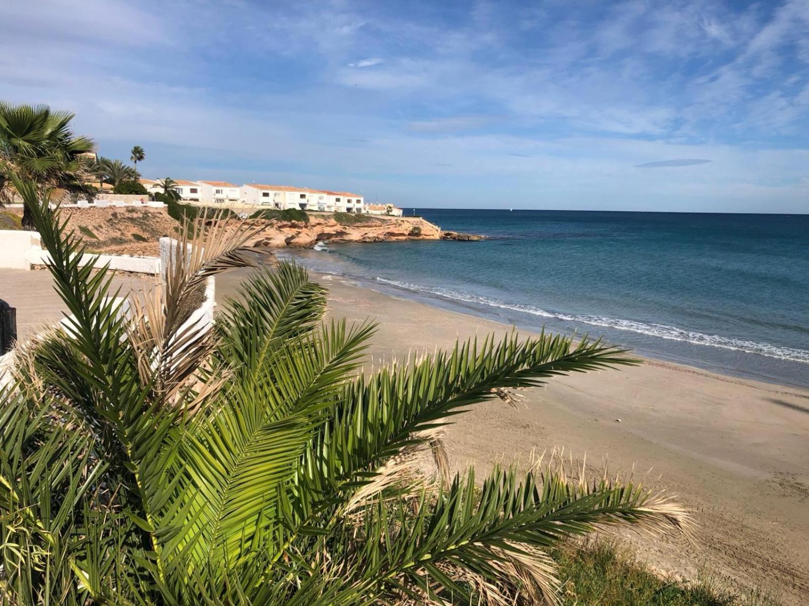 Palmview Poolside Heaven In Turquesa Del Mar Apartment Orihuela Exterior photo